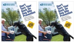 Postal Service Names Top Cities and States for Dog Attacks on Mail Carriers