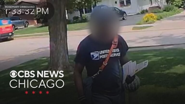 Glen Ellyn family says mail carrier attacked hospice nurse over their mother's Trump sign