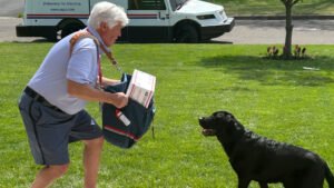 In dog bite photo shoot, only the camera snapped