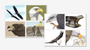 This illustrator got a chance to spread his wings