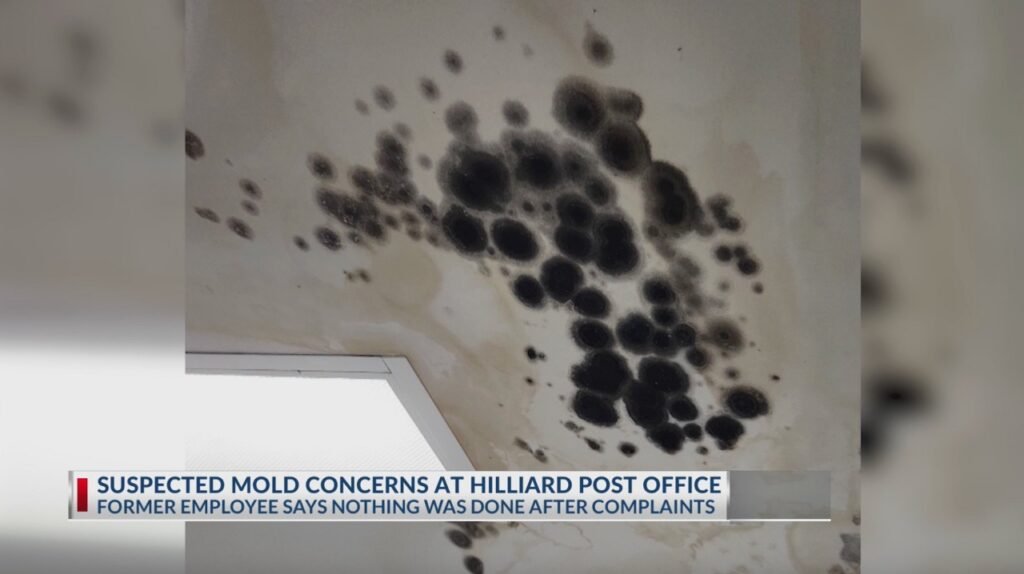 Postal workers’ union raises concerns over suspected mold at Hilliard office