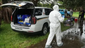 Florida postal worker who picked up stray cats on route kept over 70 animals in squalor