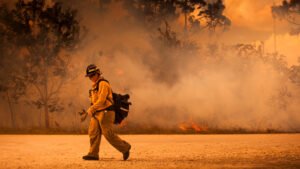 Is your area at risk for wildfires? USPS urges employees to plan ahead for evacuations