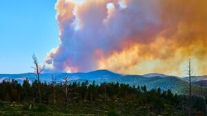 Postal Service Denies Mail to Wildfire Victims
