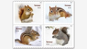Furry critters scurry onto these new stamps